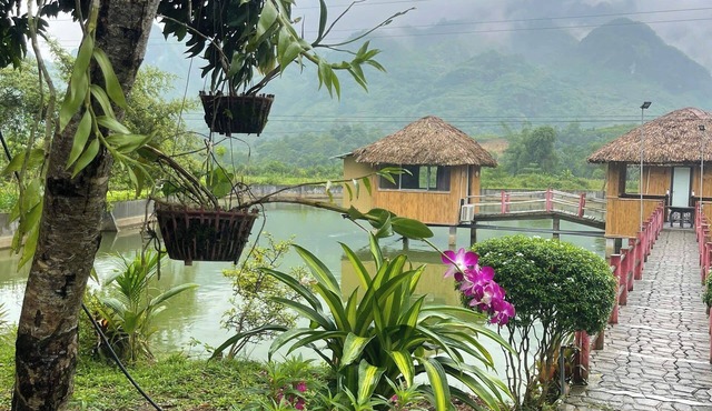 Max Fun Homestay Du Gia