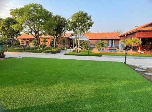 Melalueca tay ninh