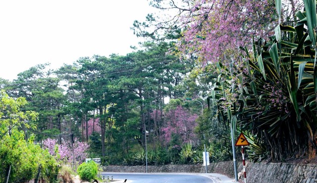 Minh Khôi' Homestay