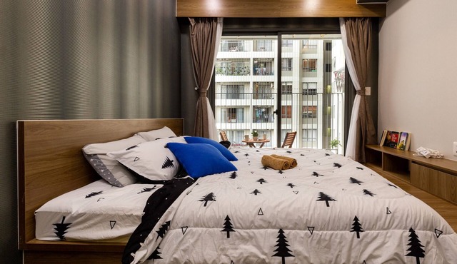 Modern apartment in Thao Dien - District 2