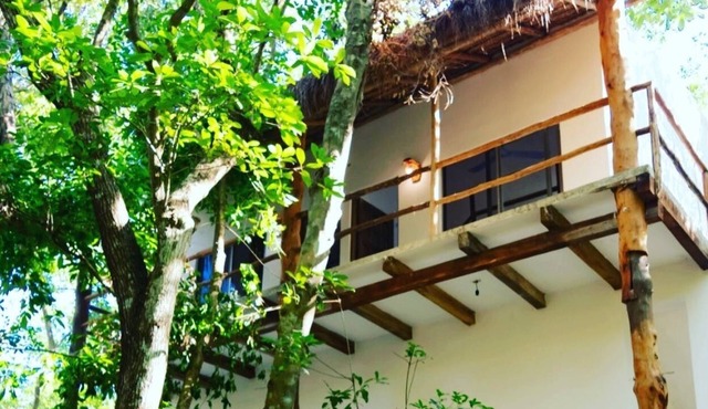 Modern lofts in the Riviera Maya jungle!