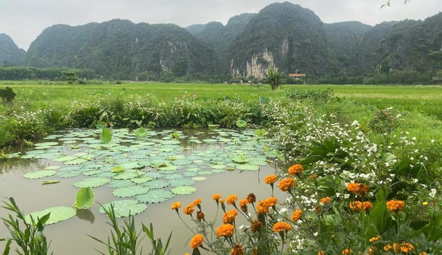Mountain view Homestay