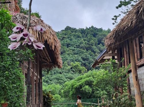 Muong Bi Homestay - a wooden stilt house owned by Uncle Lon in Luy Ai village