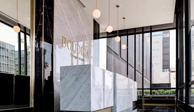 Loft 1 Boudica, Puebla