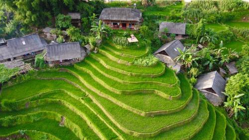 My's Homestay sapa