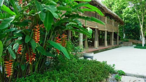 Nhà Gò Gạo Homestay