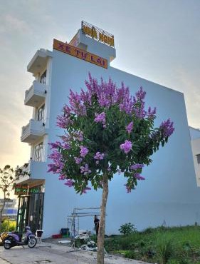 Nhà nghỉ Thanh Thư 2