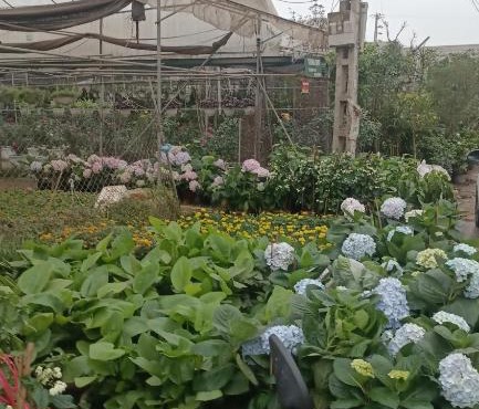 Nhà Trọ Quang Hưng