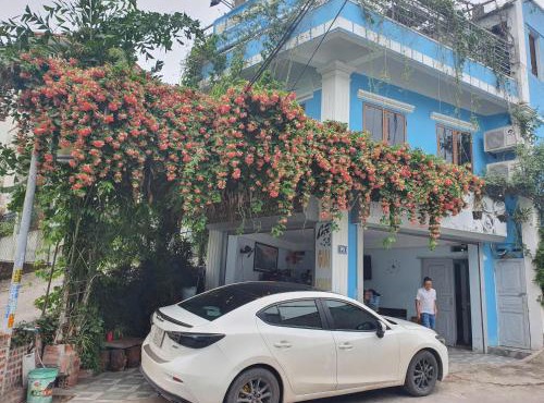 Nha Xanh Ha Long Homestay