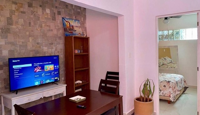 NICE APARTMENT IN ROMA NORTE