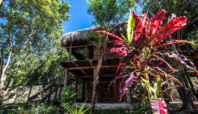 Nice wood cabin in the Mayan jungle