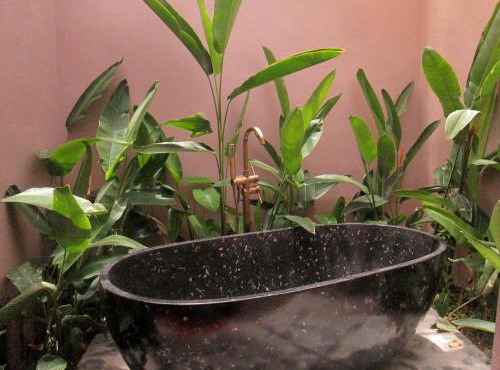 Ninh Binh Nature Homestay