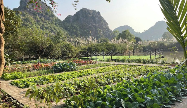 Ninh Hoa Retreat