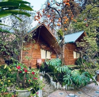 Nobita Homestay bắc hà