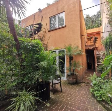 Oasis San Miguel 2