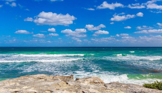 Ocean Front Condo steps away from Caribbean Sea