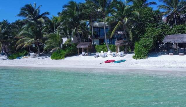 Ocean Front Villa @ Private Beach in Tulum. Snorkel, Kayak, Paddleboard Included