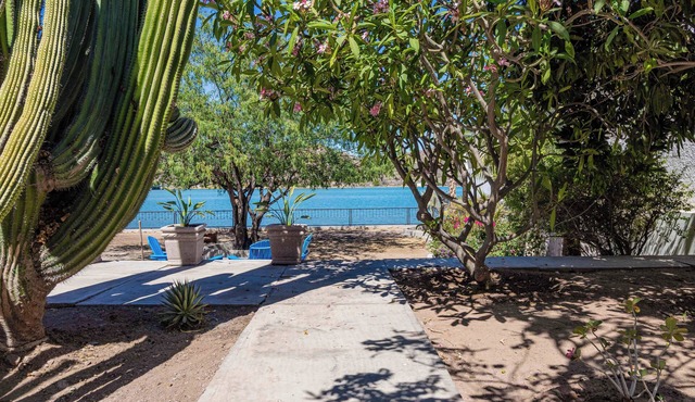 Ocean front casa! Amazing views, jump into the water! Central location w/wifi!