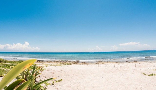 ocean view 6 BB villa in Tulum. sleeps 17!