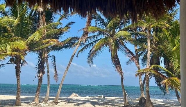 Oceanfront Villa: Casona Palms on Private Beachfront