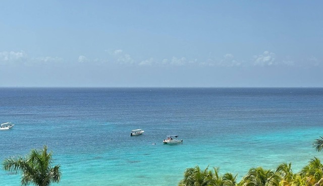 Oceanview Condo in San Miguel de Cozumel: The Landmark Resort of Cozumel