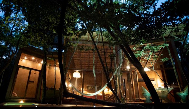 OJO DE ÁRBOL, boutique cabin in the real jungle