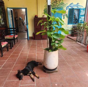 Orchid Garden Farmstay Cần Thơ -Self Check in