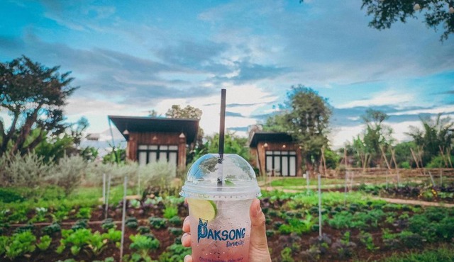 Paksong Farmstay Gia Lai