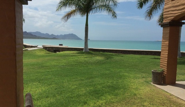 PARADISE AT BAHIA DELFIN/BEAUTIFUL 1ST FLOOR, POOLSIDE, OCEANVIEW , GOLD ZONE