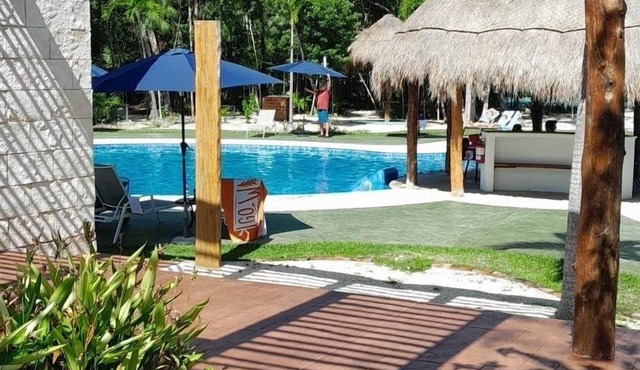 paradise in the jungle