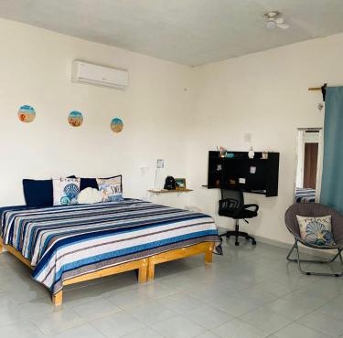 Paraiso Suite Centrico con entrada independiente