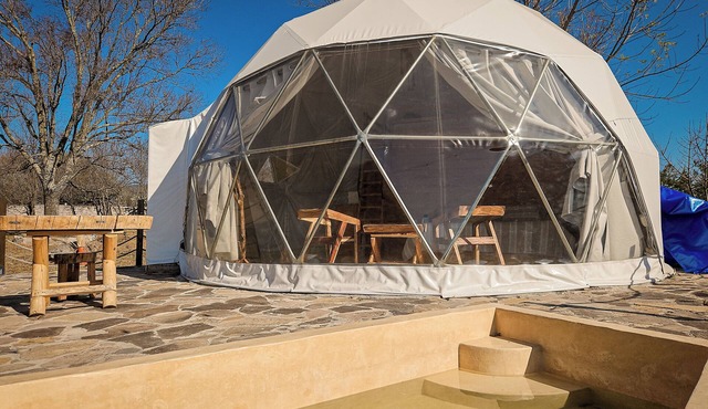 Party Dome By GEstores