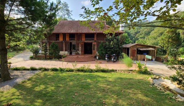 Pea homestay