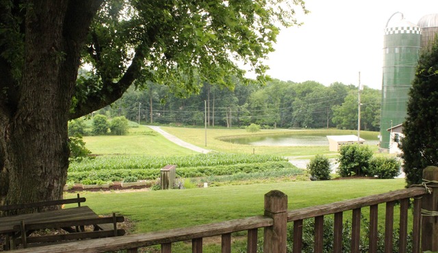 Peaceful, country setting on Fountain Hill Farm