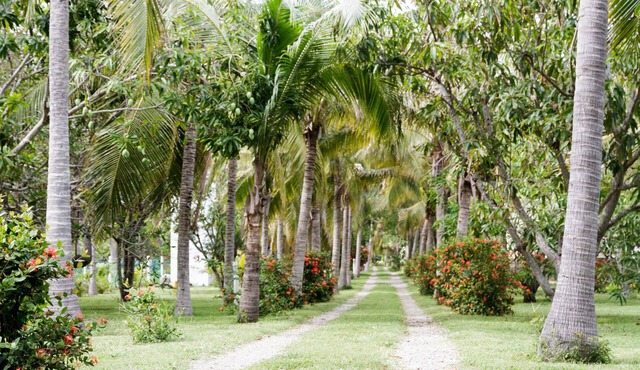 Pet friendly bungalow between the ocean and lagoon