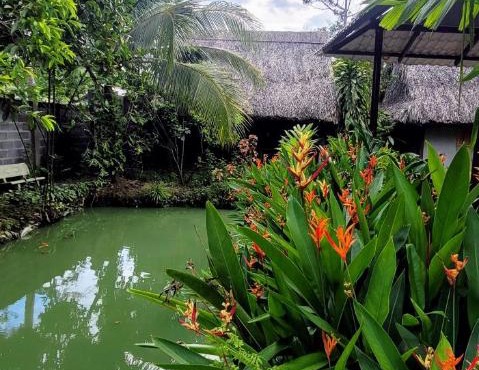 Phuc Sinh Homestay