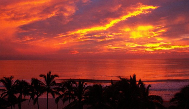 Playa Royal Oceanfront Condo