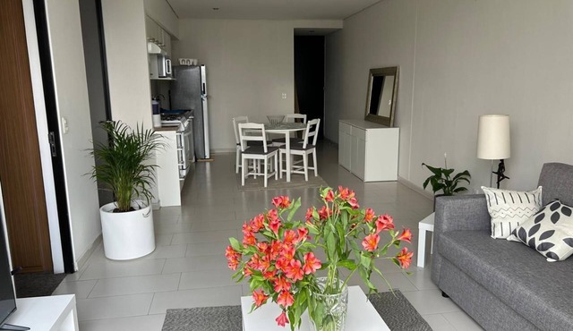 Polanco beautiful 1 bedroom Apartment, next to shopping mall. Great views, WiFi