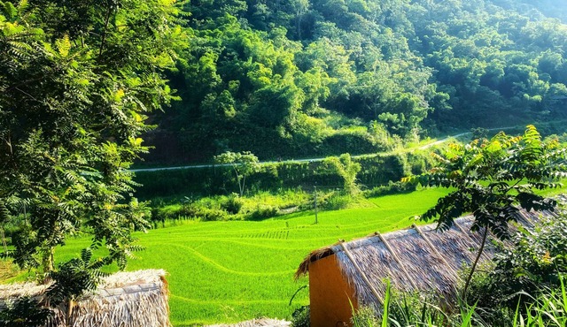 Pu Luong Riverside Lodge