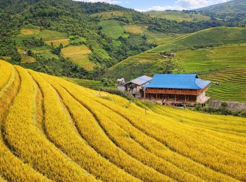 Pu Nhu Homestay