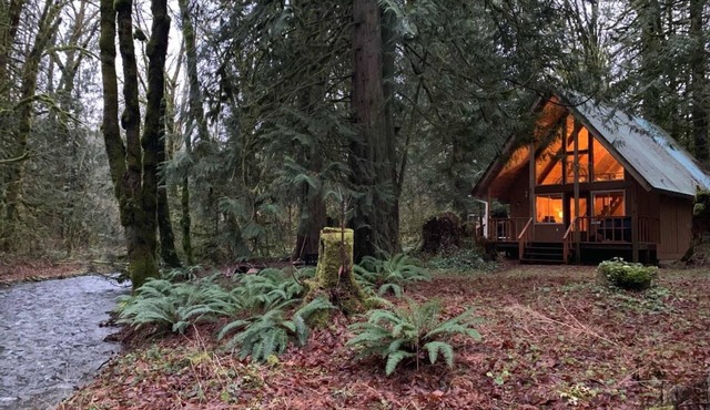 Pull out and relax in the Retro Cabin