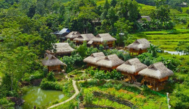 Puluong Ohayo