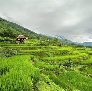 Puluong Qui E Ora