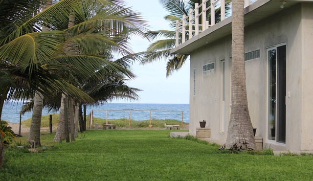 Pura Vida Veracruz