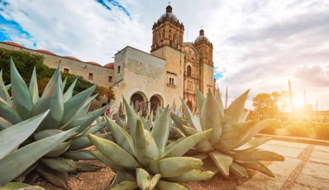 quiet and safe place 15 minutes from the zocalo.