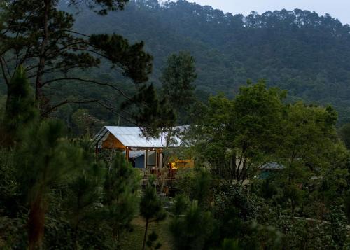 Quin House