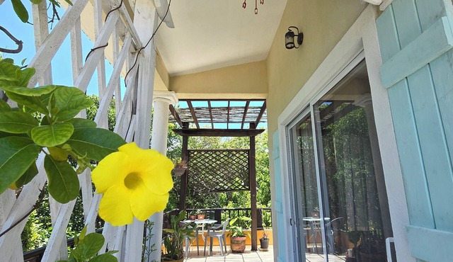 Quinta Eva Sofia-Tucan apartment,in front BARCELO MAYA HOTEL & all the cenotes