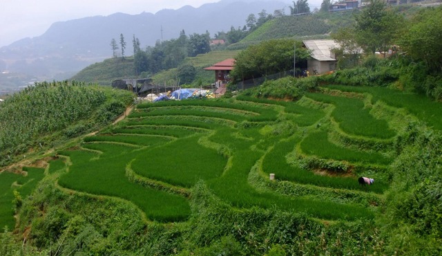 Rosie House Sapa Lao