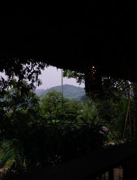 Ruộng coffee and homestay