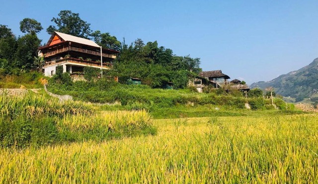 Sần's House